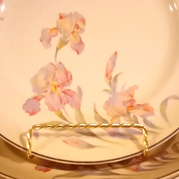 Vintage Universal Cambridge Iris Plate Bundle - 9 - 9.25" Dinner Plates - Picture 10 of 11